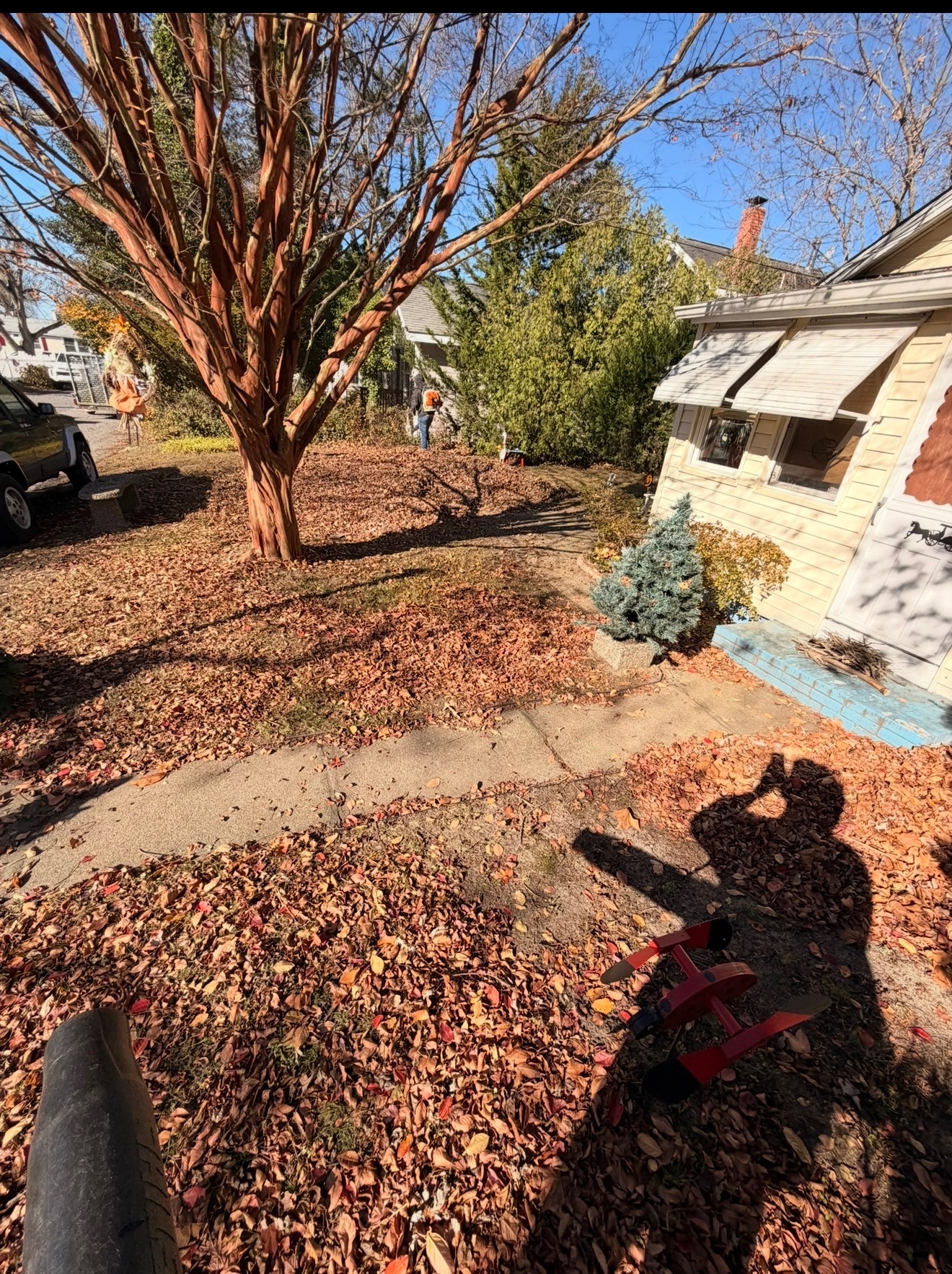 Fall Cleanup