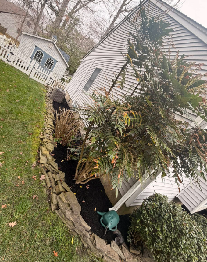 Hardscape / Planting