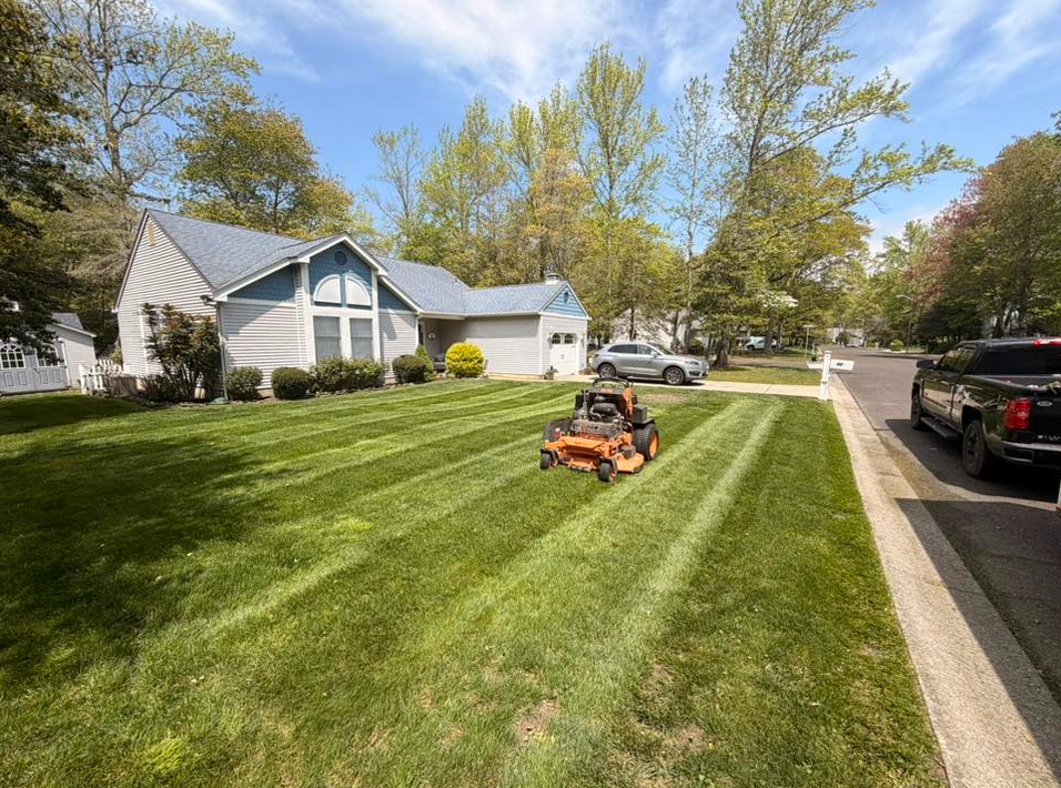 Beautiful professionally maintained lawn