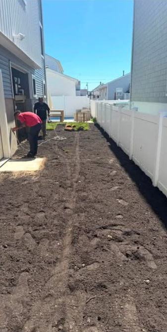 Bare graded soil prepped for new sod installation in a Cape May County side yard